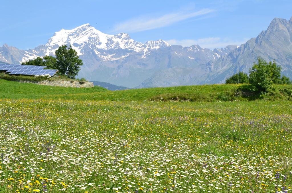 Appartamento Lo Coppa Fen Aosta Esterno foto